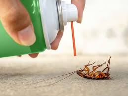 Maybe you would like to learn more about one of these? Ketahui Bahaya Dan Cara Mengusir Kecoa Alodokter