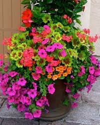 Container Flower Garden Most Beautiful Gardening Flowers Ideas For You Garden Planters Container Gardening Flowers Container Flowers Flower Pots Outdoor