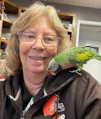 Experienced Veterinarians