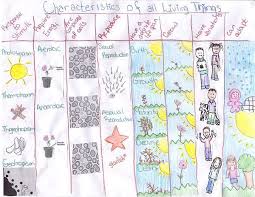 Pin By Monica Fontova On Art Classroom Plant And Animal Cells Characteristics Of Living Things Common Core Science