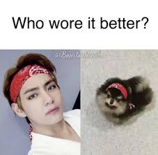 , diambil dengan kamera tidak diketahui 11/01 2017 gambar. Found On Bing From Band Memes Tumblr Com Yeontan Memes Kim Yeontan V And Yeontan