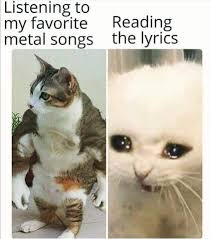 I was listening to music when this appeared, the cat was synchronized with the song. Thirty Eight Metal Memes For Fans Of The Double Bass Memebase Funny Memes Metal Music Quotes Metal Meme Song Memes