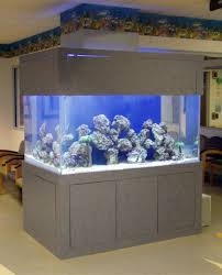 Pin Op Aquarium Saltwater
