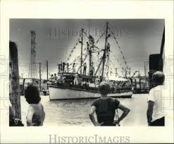 Image result for White 1981 Fleet