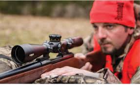 whitetail deer hunting Archives