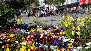 Daher die bitte an alle. Saarbrucken Ein Ungeplanter Kurzbesuch Reise Video Blog