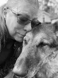 Loss of a Beloved German Shepherd