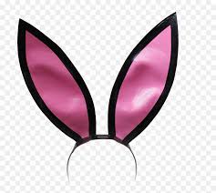 Simners will enjoy having the bunny ears in their game. Baby Blue Bunny Ears Png Download Floppy Bunny Ears Png Transparent Png Vhv