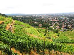 2100 valley view pkwy, el dorado hills, ca 95762. Radebeul Wine Country And Spitzhaus Prestige Hotel Collection