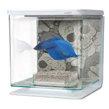 Aquarium Marina Betta Kit 2l Taªte De Mort Betta Aquarium Betta Aquarium