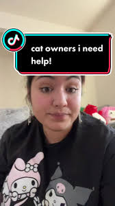 Leo Loo Too Litter Box Review