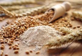 Which of the following explains the prevalence of banana plantations in central america? New Wheat Flour Plant Planned For Kenya World Grain Com April 23 2018 12 35