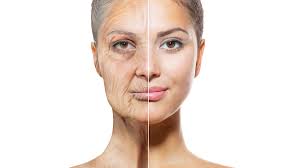 Scientists discover 'master switch' in the human body that reverses cell  ageing