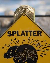 Dinner in the sky will now take over the sky of belgium. Pin On Dinner