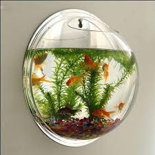 Can Graffiti Usb Valentine Birthday Gift Clock Mini Aquarium Fish Bowl Decor