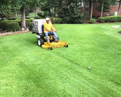 Every party should always get the best from each other at all times, especially when it comes to the best lawn care. How Much Do Lawn Services Cost Wboc Tv