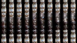 Maryam Al-Daloua loves sex phone and interviews more and she loves sucking  and nik call me from here 00201118597664 - XNXX.COM