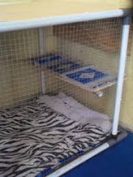 Buat sangkar kucing guna kabel tie dan jaring brc terpakai. Cara Buat Sangkar Kucing Sendiri Pagar Rumah