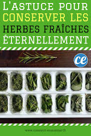 Enfin Une Astuce Pour Conserver Les Herbes Fraiches Eternellement Cuisine Et Boissons Herbe Cuisine