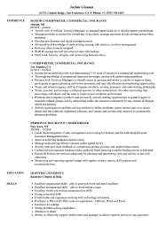 This site contains affiliate links from which we receive a compensation (like amazon for example). Insurance Underwriter Resume Samples Velvet Jobs