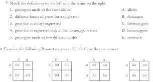 Predict the outcome of a cross between the possible aametes from the two parents. Monohybrid Cross Practice Worksheet Nidecmege