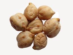 Image result for Cicer arietinum