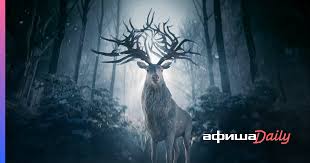 Критики оценили сериал положительно — на metacritic у него 70 баллов из 100, а на rotten tomatoes 92% «свежести». Netflix Nazval Datu Vyhoda Teni I Kosti Fentezi Seriala V Zhanre Car Pank Afisha Daily