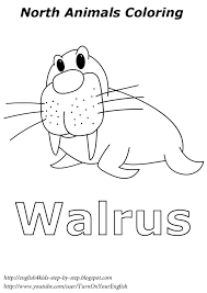 Coloring pages of arctic animals. Arctic Animal Coloring Pages