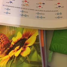 Â (â mare/majuscul), â (â mic/minuscul) este a treia literă din alfabetul limbii române. CompleteazÄƒ Cuvintele De Mai Jos Cu Literele I Sau A È™terse De PicÄƒturile De Ploaie Rx Nr 19 Brainly Ro