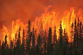 Jun 08, 2021 · the ontario ministry of natural resources and forestry names each fire based on the nearest district. Industries Required To Evaluate Operations For Forest Fire Risk Workplace Safety North