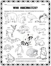 Which Animals Hibernate Which Animals Hibernate Winter Kindergarten Winter Preschool