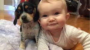 Cute Puppies And Babies Playing Together Compilation 2019 4 Youtube