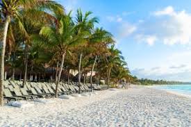 Puerto aventuras is just 12 miles away from playa del carmen and 50. Catalonia Royal Tulum Beach Spa Resort Adults Only All Inclusive Xpu Ha Aktualisierte Preise Fur 2021