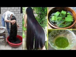 2 Kat Hizli Sac Uzatan Gurlestirici Tarif Sac Dokulmesine Son Ev Yapimi Aloe Vera Jeli Bakim Youtube Hizli Sac Uzama Aloe Sac