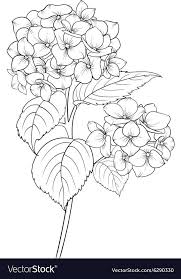 Ajanda Panosundaki Pin