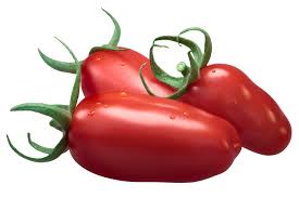Image result for tomato San Marzano