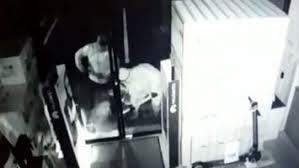 Shopping & retail in satu mare. Altex Portalsm Ro Stiri Satu Mare