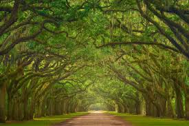 Join ranger keyshawn as he takes you on his black heritage tour, highlighting wormsloe's history as a slave plantation and invoking the memories of those enslaved people who lived on wormsloe's. The Best Things To Do In Savannah Georgia