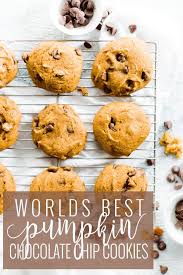 The Best Chocolate Chip Pumpkin Cookies Oh So Delicioso Recipe Pumpkin Cookie Recipe Pumpkin Chocolate Chip Cookies Pumpkin Recipes