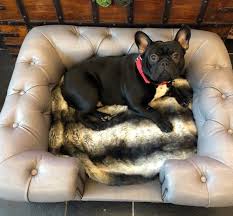 Sturdy, high legs perfectly complement the sofa design. Balmoral Steel Grey Faux Leather Dog Sofa Bed D For Dog