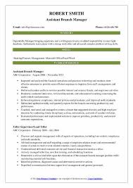 assistant branch manager resume samples