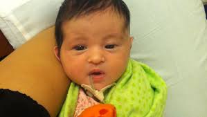 Fundraiser for Kathleen Lucquete by Margaret Harville : Neely's Song is  back in Omaha,