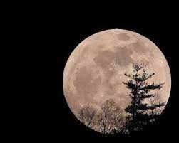 45 Best Ideas Tattoo Tree Silhouette Full Moon Full Moon Tattoo Moon Tattoo Tree Silhouette