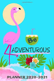 Planner 2020 2021 Be Adventurous Flamingo 2 Year Daily W Https Www Amazon Com Dp 1687724296 Ref Cm Sw R Pi Dp U Flamingo Gifts Beautiful Planner Flamingo