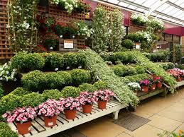 Bedding Canopy Squires Garden Centre Twickenham Plant Display Ideas Garden Center Displays Bedding Plants