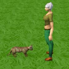 If a cat ran away or died, the owner of the cat would lose the bet. Cat The Runescape Wiki
