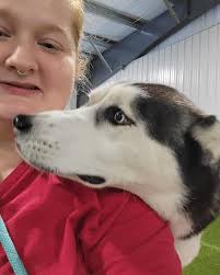 Ruff House (@ruffhousefw) • Instagram photos and videos