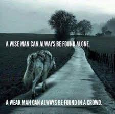 However, one underappreciated quality of an alpha female is that she also brings out the best in her partner. 39 Best Alpha Female Wolf Ideas Alpha Female Alpha Female Wolf Wolf