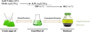 biodiesel production from microalgae spirulina maxima by two