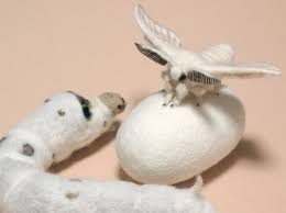 ボード textile butterfly のピン